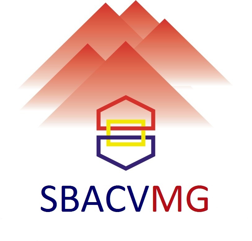 Sociedade Brasileira de Angiologia e Cirurgia Vascular - Regional Minas Gerais