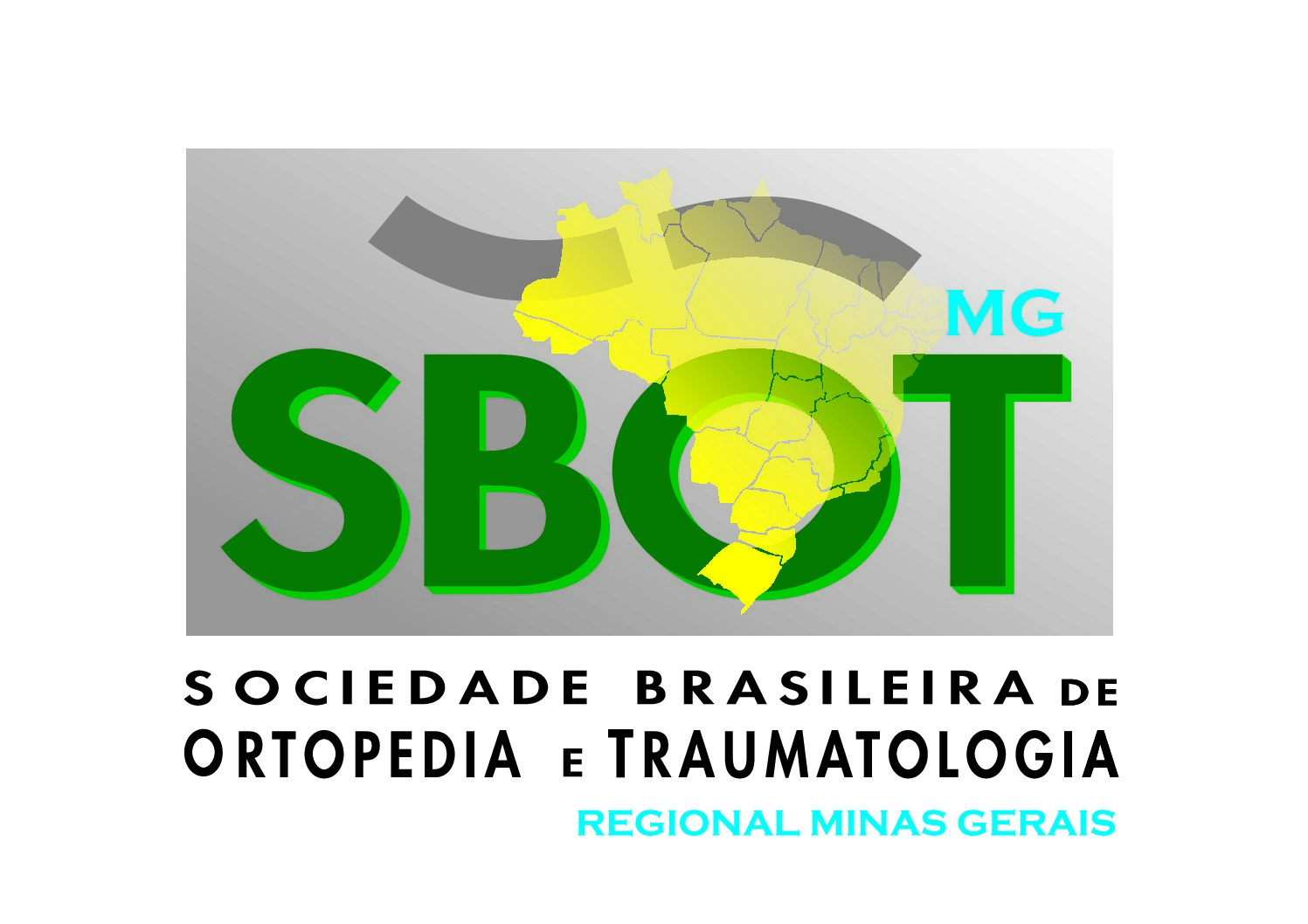 Sociedade Brasileira de Ortopedia e Traumatologia